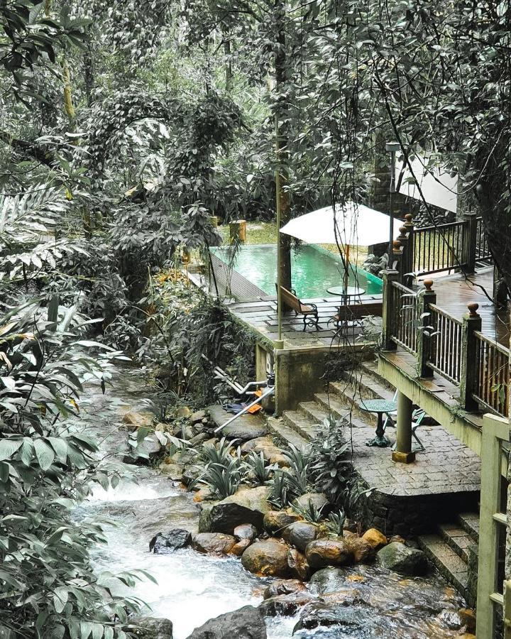 Mystic Mayapott, Thekkady Bagian luar foto
