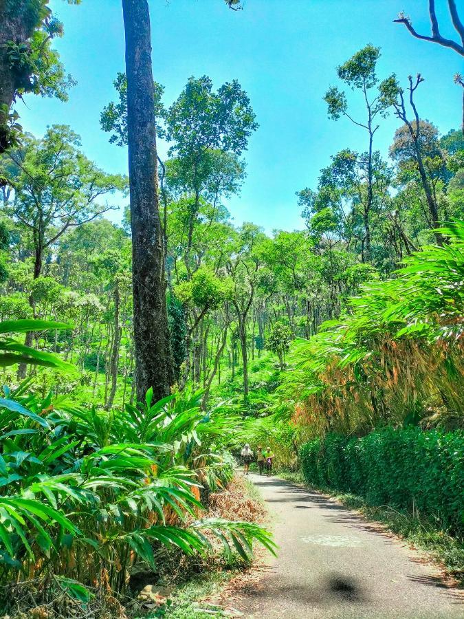 Mystic Mayapott, Thekkady Bagian luar foto