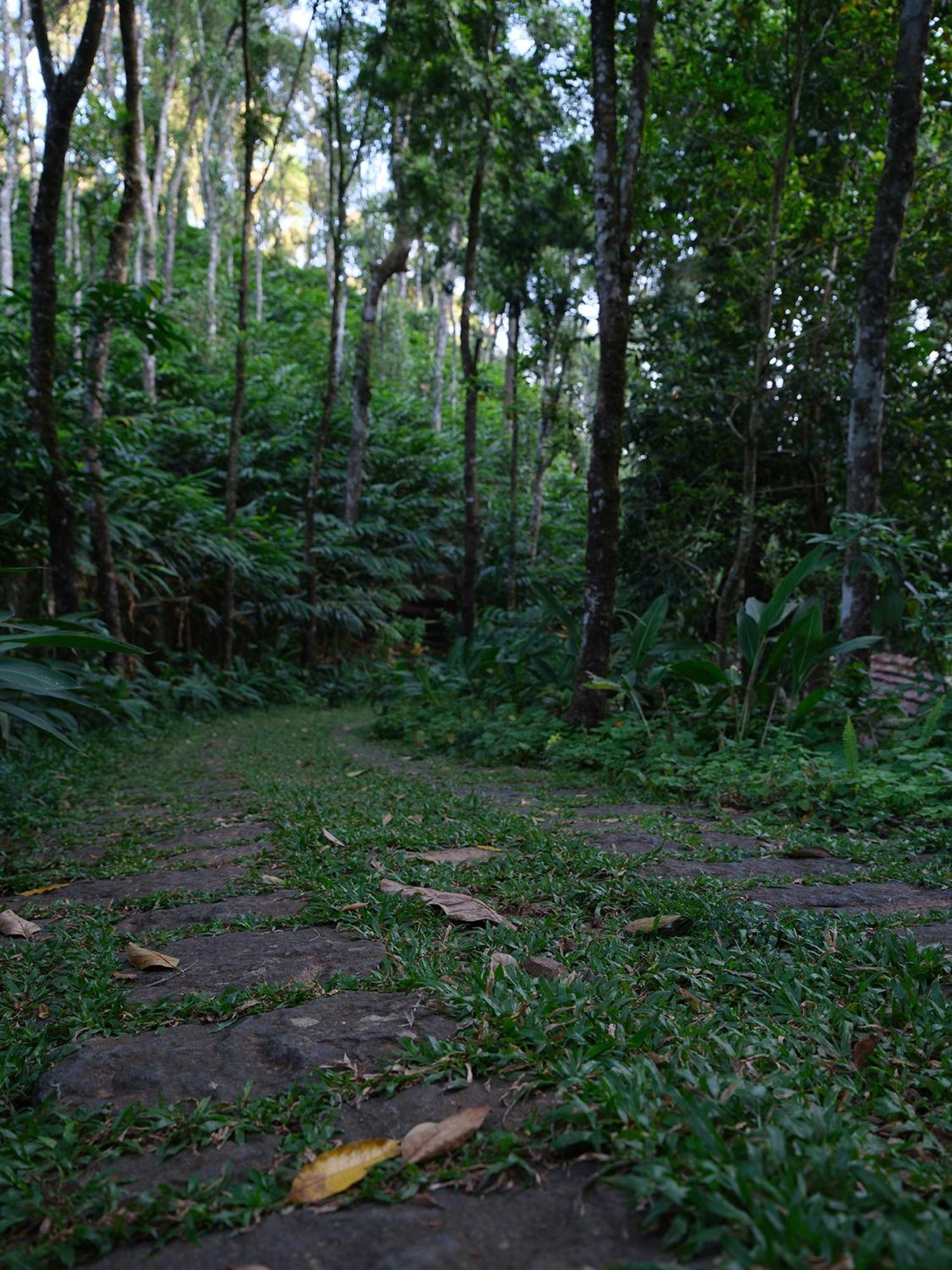 Mystic Mayapott, Thekkady Bagian luar foto