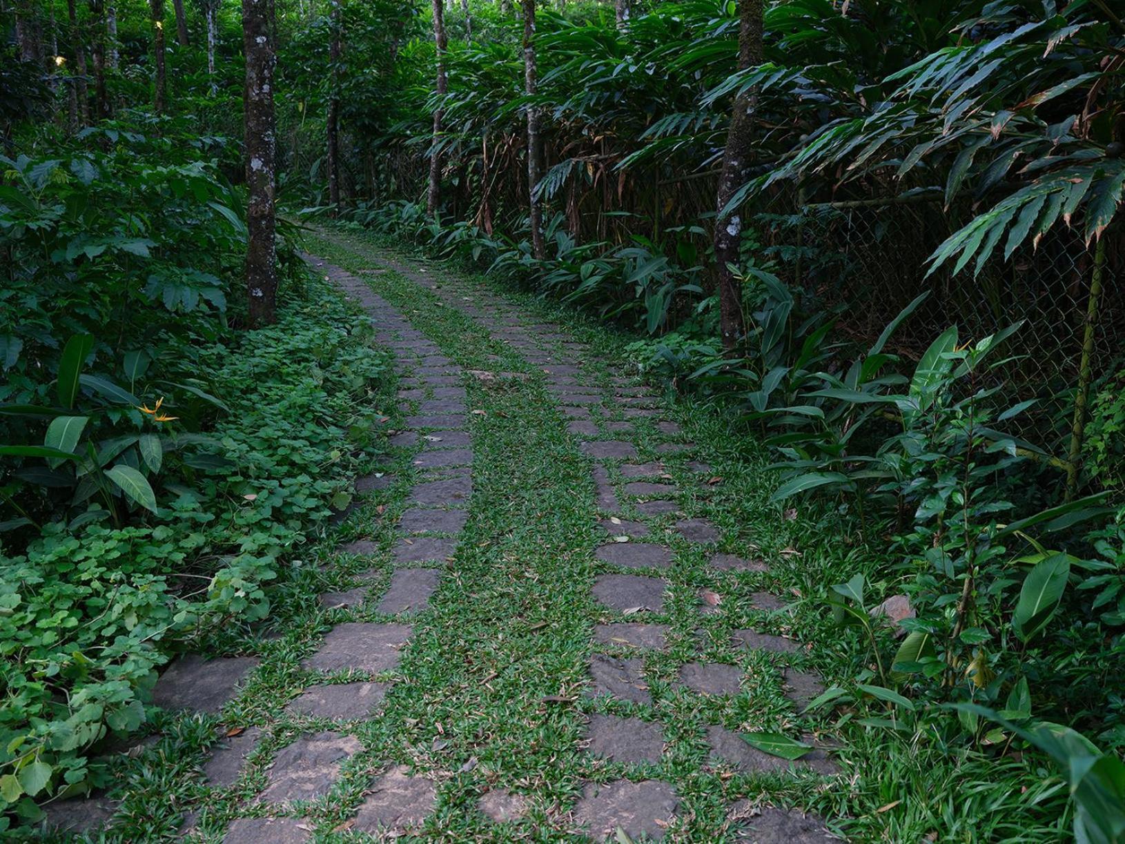 Mystic Mayapott, Thekkady Bagian luar foto
