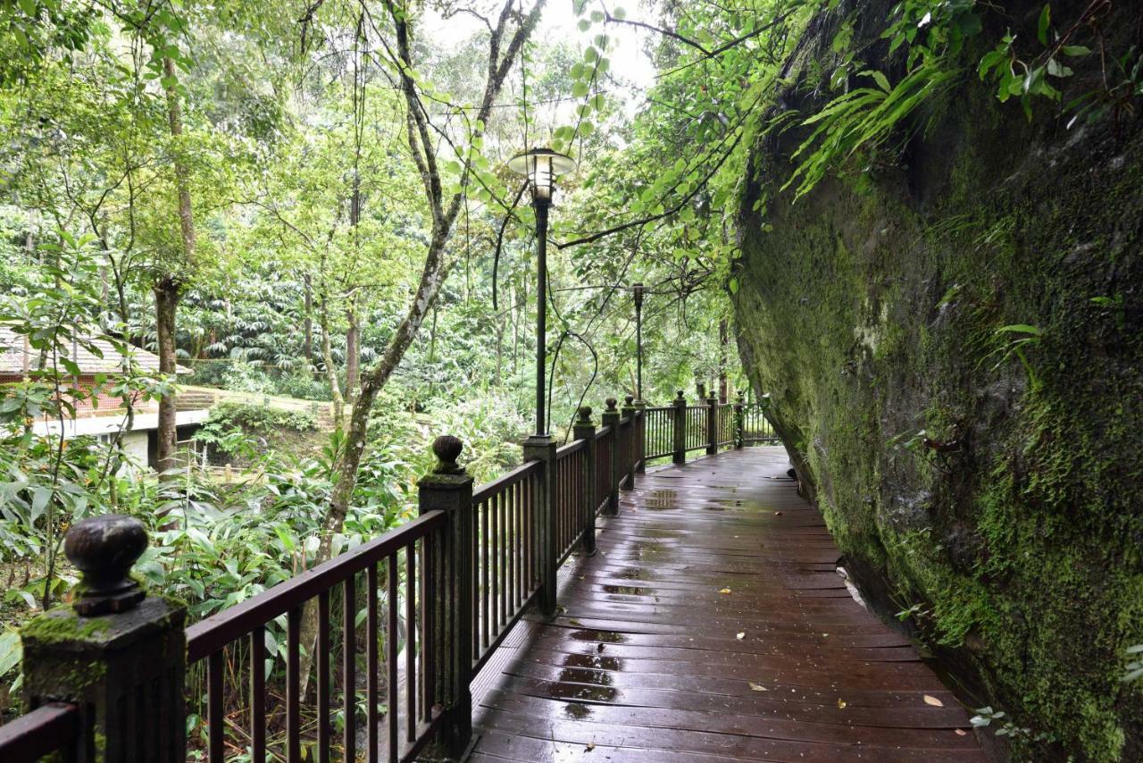 Mystic Mayapott, Thekkady Bagian luar foto